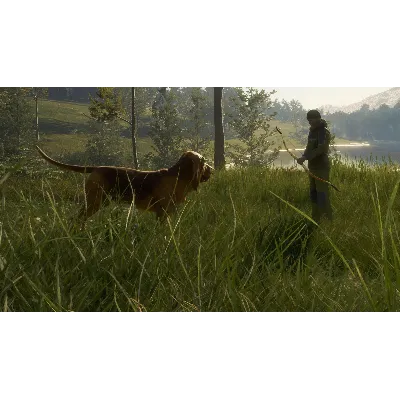 theHunter Call of the Wild Bloodhound Steam Ключ РФ+Мир - irongamers.ru