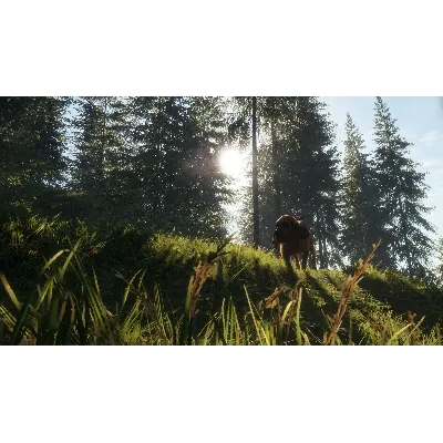 theHunter Call of the Wild Bloodhound Steam Ключ РФ+Мир - irongamers.ru
