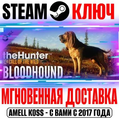 theHunter Call of the Wild Bloodhound Steam Ключ РФ+Мир - irongamers.ru