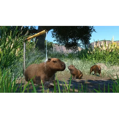 PLANET ZOO: ИЗДАНИЕ ULTIMATE EDITION XBOX SERIES S|X КЛ - irongamers.ru