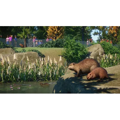 PLANET ZOO: ИЗДАНИЕ ULTIMATE EDITION XBOX SERIES S|X КЛ - irongamers.ru