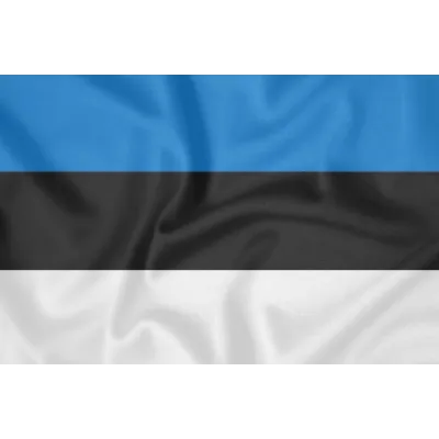 Hiddify VPN/Proxy | Estonia | Works in Russia | 1-6 mon - irongamers.ru