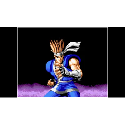 ACA NEOGEO WORLD HEROES PERFECT Xbox активация - irongamers.ru