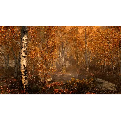 The Elder Scrolls V: Skyrim Special Edition Steam Ключ - irongamers.ru