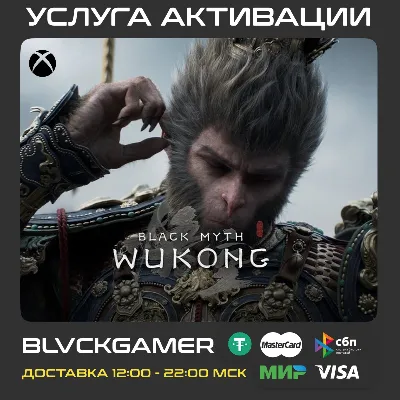 Black Myth: Wukong (XBOX) - Активация - irongamers.ru