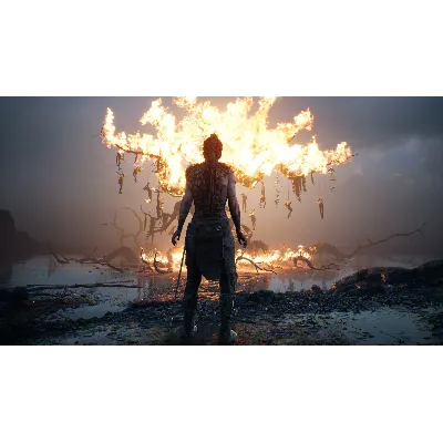 Hellblade: Senua&acute;s Sacrifice STEAM - irongamers.ru