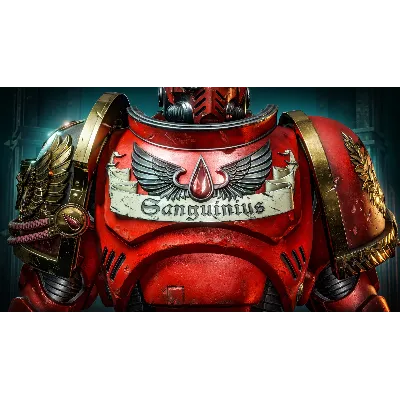 Warhammer 40000 Space Marine 2 Blood Angels Cosmetic P - irongamers.ru