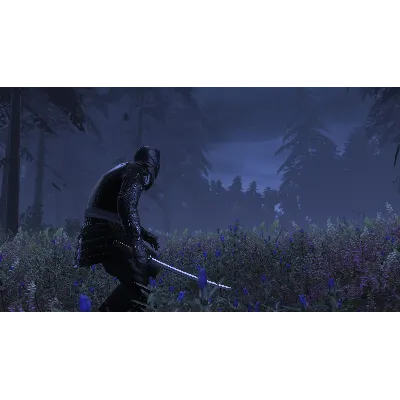 Total War Shogun 2 The Hattori Clan Pack DLC Steam Ключ - irongamers.ru