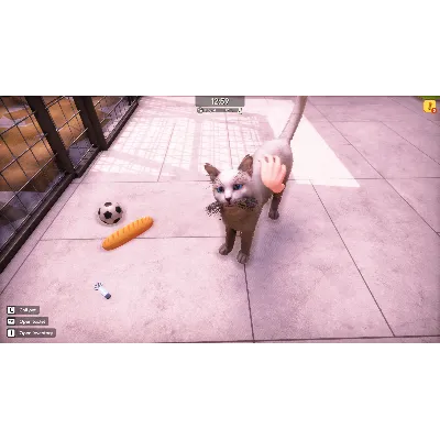Animal Shelter 2 АВТОДОСТАВКА STEAM GLOBAL МГНОВЕННО ЛИЦЕНЗИЯ - irongamers.ru