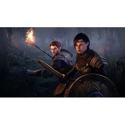 The Elder Scrolls Online Collection: Blackwood Collecto - irongamers.ru