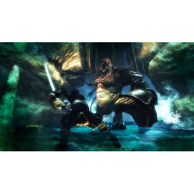 Risen 2: Dark Waters (Темные Воды) Steam Ключ РФ+СНГ - irongamers.ru