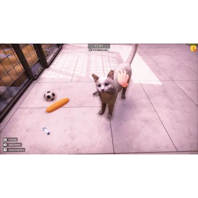 Animal Shelter 2 STEAM GIFT AUTO RU+МИР - irongamers.ru