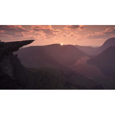 Call of the Wild The Angler PS4/PS5 | П2/П3 - irongamers.ru