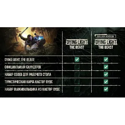 Dying Light: The Beast+ BORDERLANDS 4 + SILENT HILL 2 - irongamers.ru