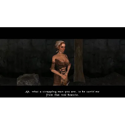 The Bard&acute;s Tale ARPG: Remastered and Resnarkled STEAM - irongamers.ru