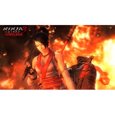 [NINJA GAIDEN: Master Collection] NINJA СТИМ Steam Gift - irongamers.ru