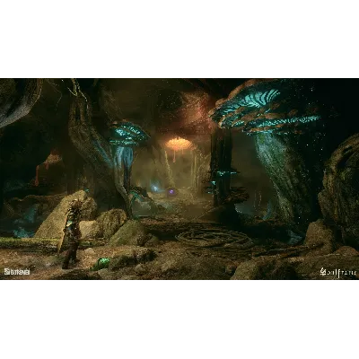Soulframe Closed Beta PC CD Key (Official Site Ativate) - irongamers.ru