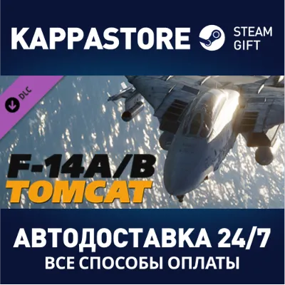 DCS: F-14 by Heatblur Simulations DLC | Steam Gift Росс - irongamers.ru