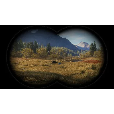 theHunter: Call of the Wild™ - Game Feeder Pack DLC - irongamers.ru