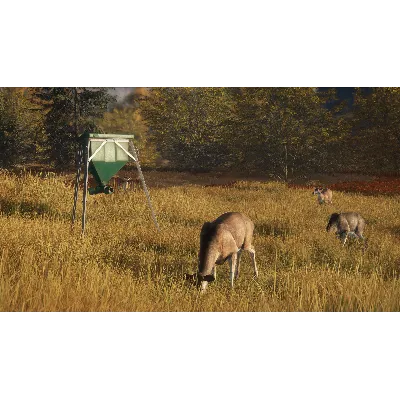 theHunter: Call of the Wild™ - Game Feeder Pack DLC - irongamers.ru