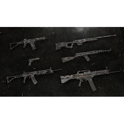 Insurgency Sandstorm Dragon Skin Weapon Skin Set DLC AUTODELIVERY STEAM РОССИЯ - irongamers.ru