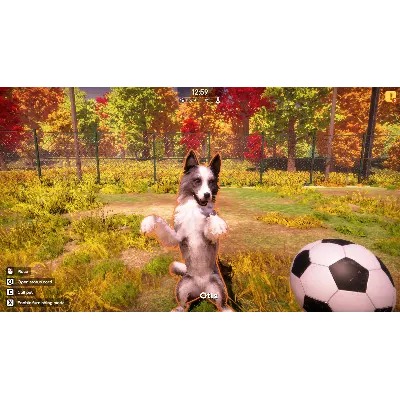 Animal Shelter 2 - STEAM GIFT РОССИЯ - irongamers.ru
