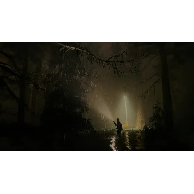 ALAN WAKE 2 XBOX SERIES X|S КЛЮЧ USA ЛИЦЕНЗИЯ - irongamers.ru
