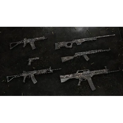 Insurgency: Sandstorm - Dragon Skin Weapon Skin Set DL - irongamers.ru