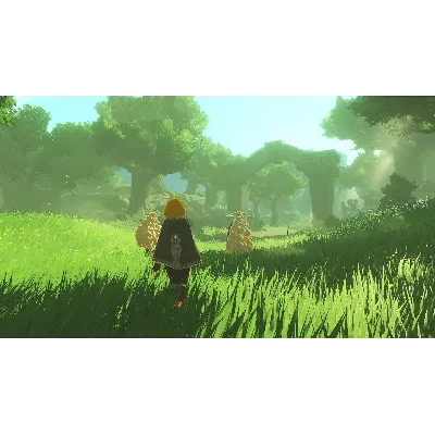 Hyrule Warriors: Age of Imprisonment | Nintendo Switch2 - irongamers.ru