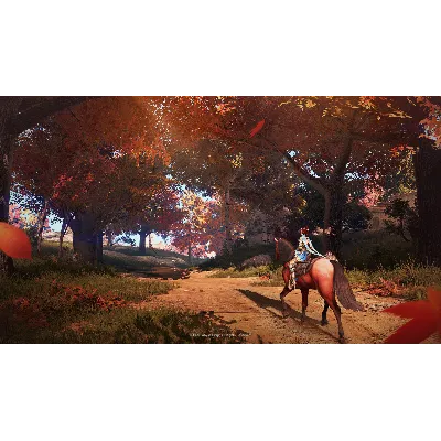 Black Desert * STEAM RU*KZ*UA*СНГ - irongamers.ru