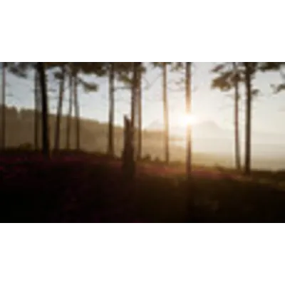 Dead District: Survival (STEAM KEY/REGION FREE) - irongamers.ru