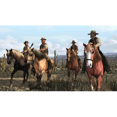 Red Dead Redemption PC Windows Microsoft Store Ключ USA - irongamers.ru