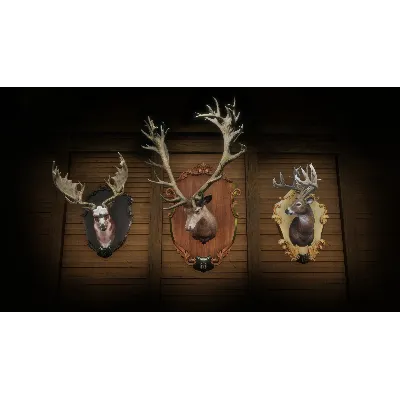 theHunter: Call of the Wild - Premium Trophy Mount Pack - irongamers.ru