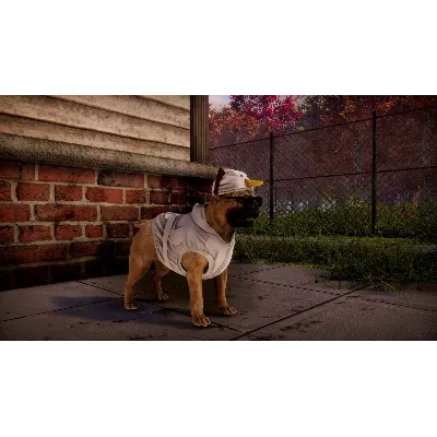 Animal Shelter 2 Steam АККАУНТ НОВЫЙ+ПОЧТА - irongamers.ru
