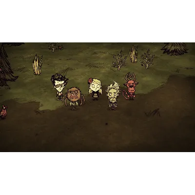Don&acute;t Starve Together: Starter Pack 2026 DLC STEAM - irongamers.ru