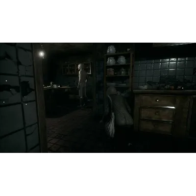 Remothered: Tormented Fathers Xbox One|X|S - irongamers.ru