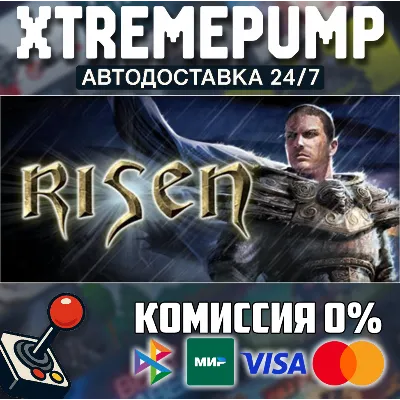 Risen STEAM АВТО 24/7 - irongamers.ru