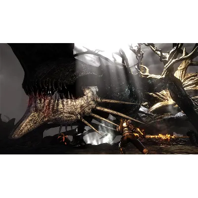 Bound by Flame Xbox One & Xbox Series X|S - irongamers.ru