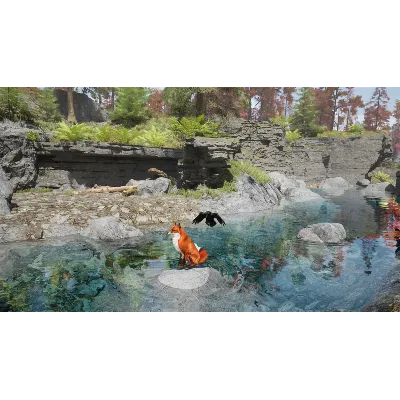 Spirit of the North 2 Xbox Series X|S & PC - irongamers.ru