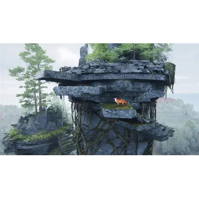 Spirit of the North 2 Xbox Series X|S & PC - irongamers.ru