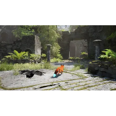 Spirit of the North 2 Xbox Series X|S & PC - irongamers.ru