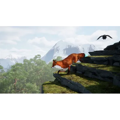 Spirit of the North 2 Xbox Series X|S & PC - irongamers.ru