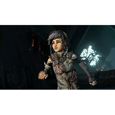 Borderlands 3 - Director&acute;s Cut DLC EU Epic Games КЛЮЧ - irongamers.ru