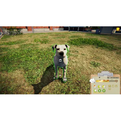 Animal Shelter EU Steam КЛЮЧ ЕВРОПА - irongamers.ru
