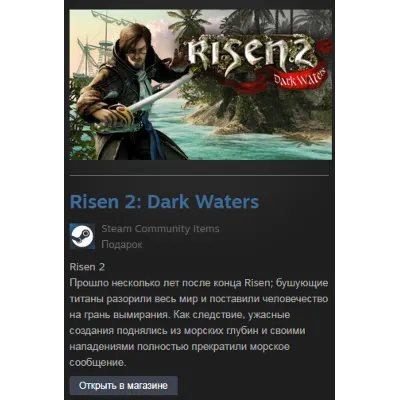 Risen 2: Dark Waters (Steam Gift Region Free / ROW) - irongamers.ru