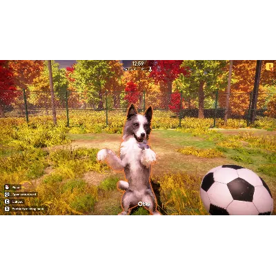 Animal Shelter 2 СТИМ Steam Gift - irongamers.ru