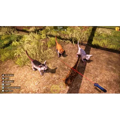 Animal Shelter 2 - Steam Gift - irongamers.ru