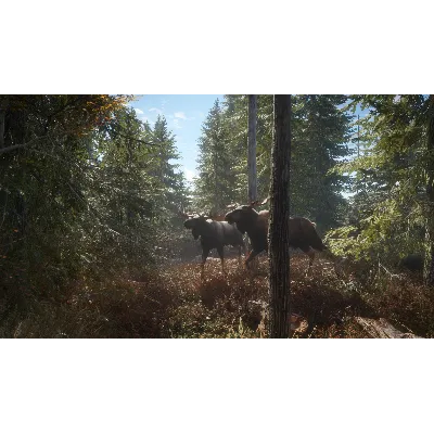 theHunter CALL OF THE WILD HUNTING PRO PACK XBOX КЛЮЧ USA - irongamers.ru