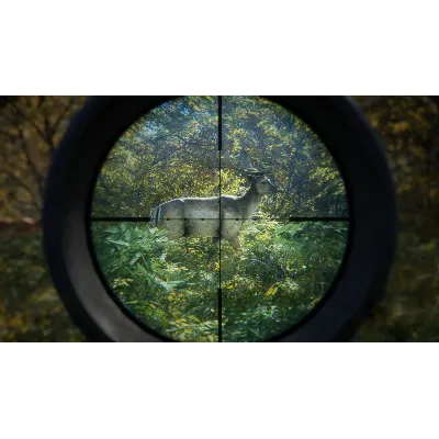 theHunter CALL OF THE WILD HUNTING PRO PACK XBOX КЛЮЧ USA - irongamers.ru