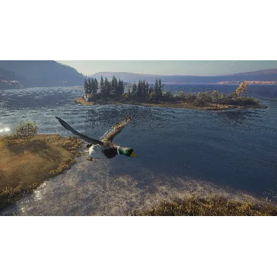theHunter CALL OF THE WILD HUNTING PRO PACK XBOX КЛЮЧ USA - irongamers.ru